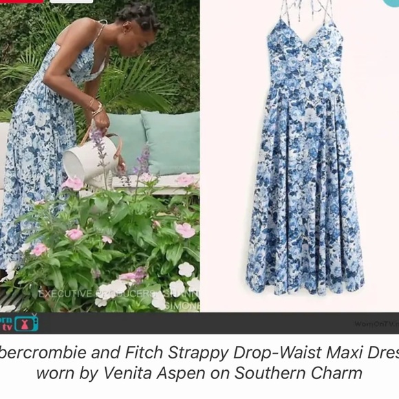 Abercrombie & Fitch Blue Floral Drop Waist Maxi Dress - Picture 10 of 10